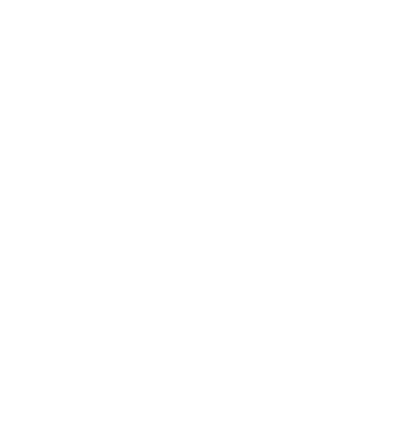 Ina Fajga Logo